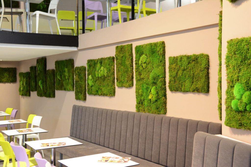 Mechové obrazy jako přírodní dekorace v budově