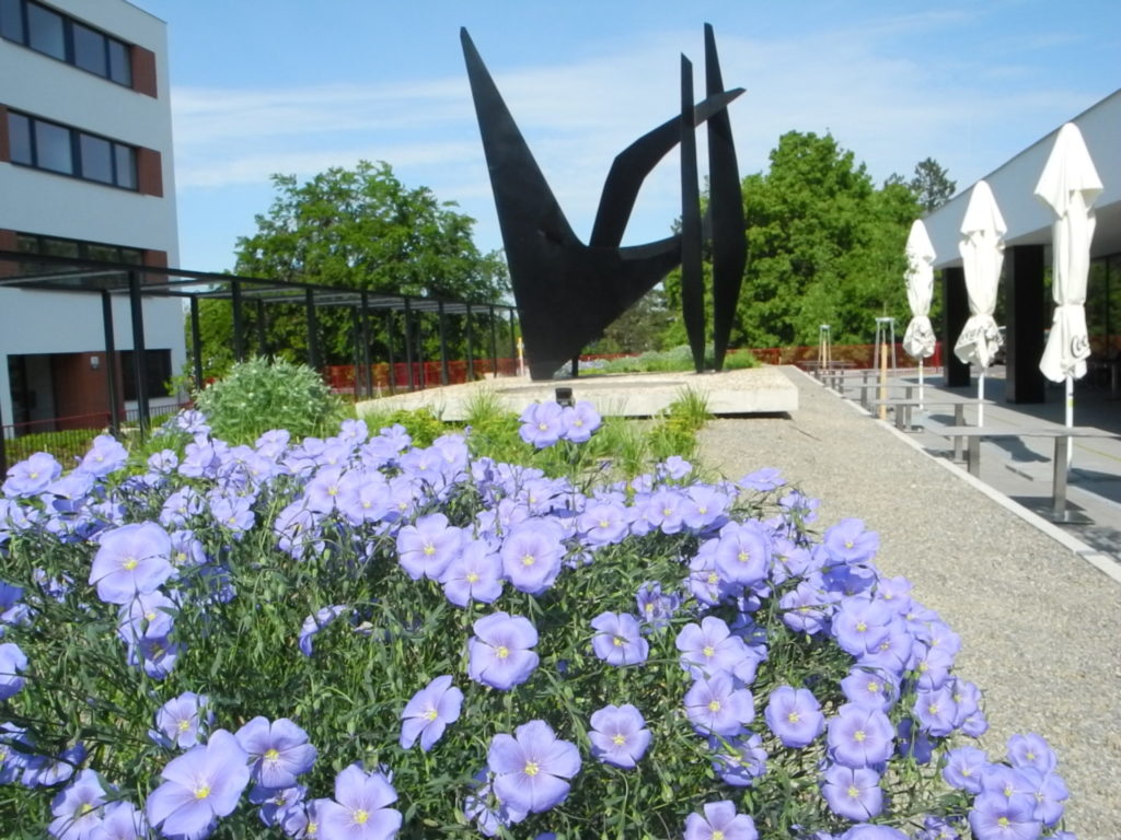 Zelená střecha od společnosti Greenvia