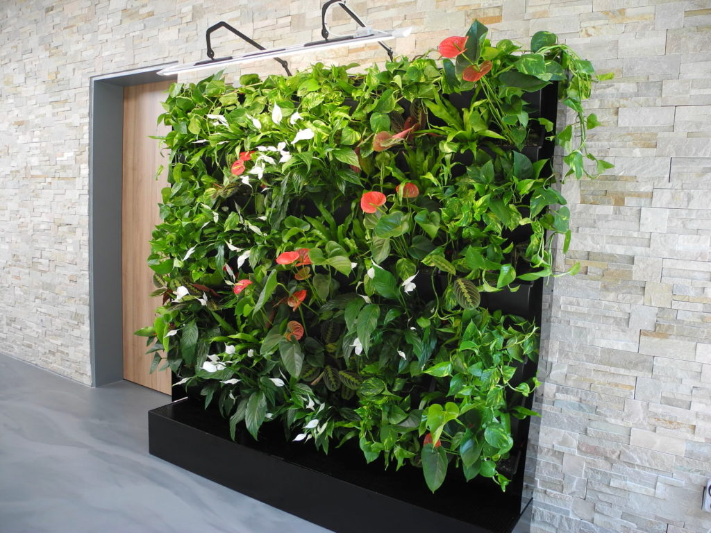 Elegantní zelená stěna v interiéru budovy