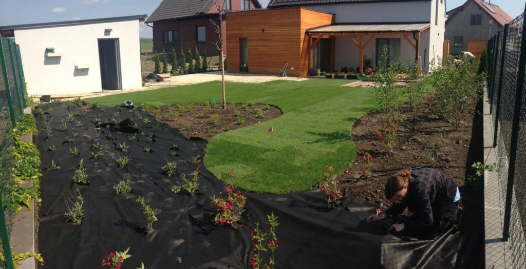 Realizace zahrady u rodinného domu firmou Greenvia