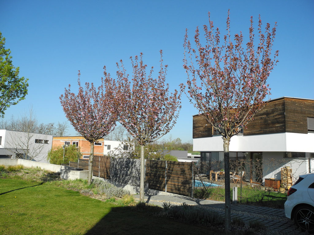 Firma Greenvia se specializuje na realizaci zahrad - ukázková reference