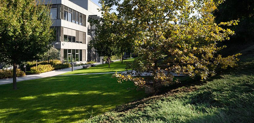 Návrhy zahrad jsou specialitou firmy Greenvia